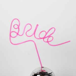 Bride Straw Main Image Wicked Partystore