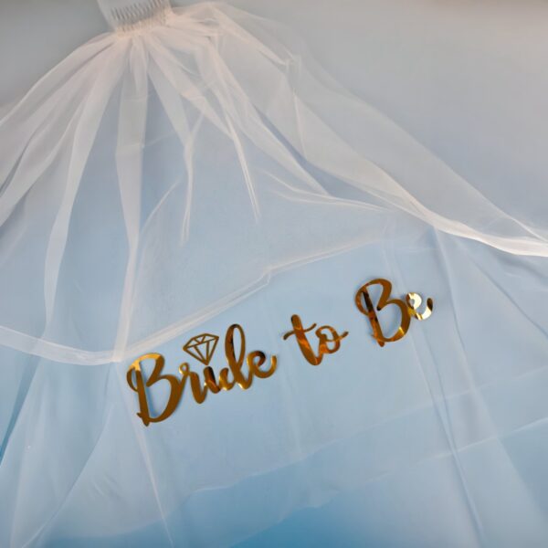 Bride To Be Party Hens Veil Wicked Partystore 1 Resized