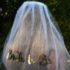 Bride To Be Party Hens Veil Wicked Partystore 4