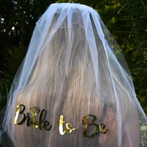 Bride To Be Party Hens Veil Wicked Partystore 4