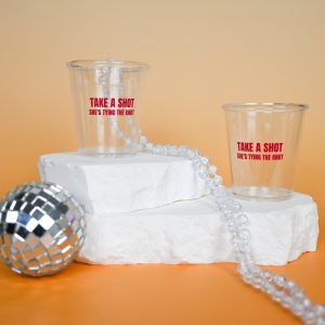Take A Shot Pink Plastic Shot Glass Wicked Partystore 1
