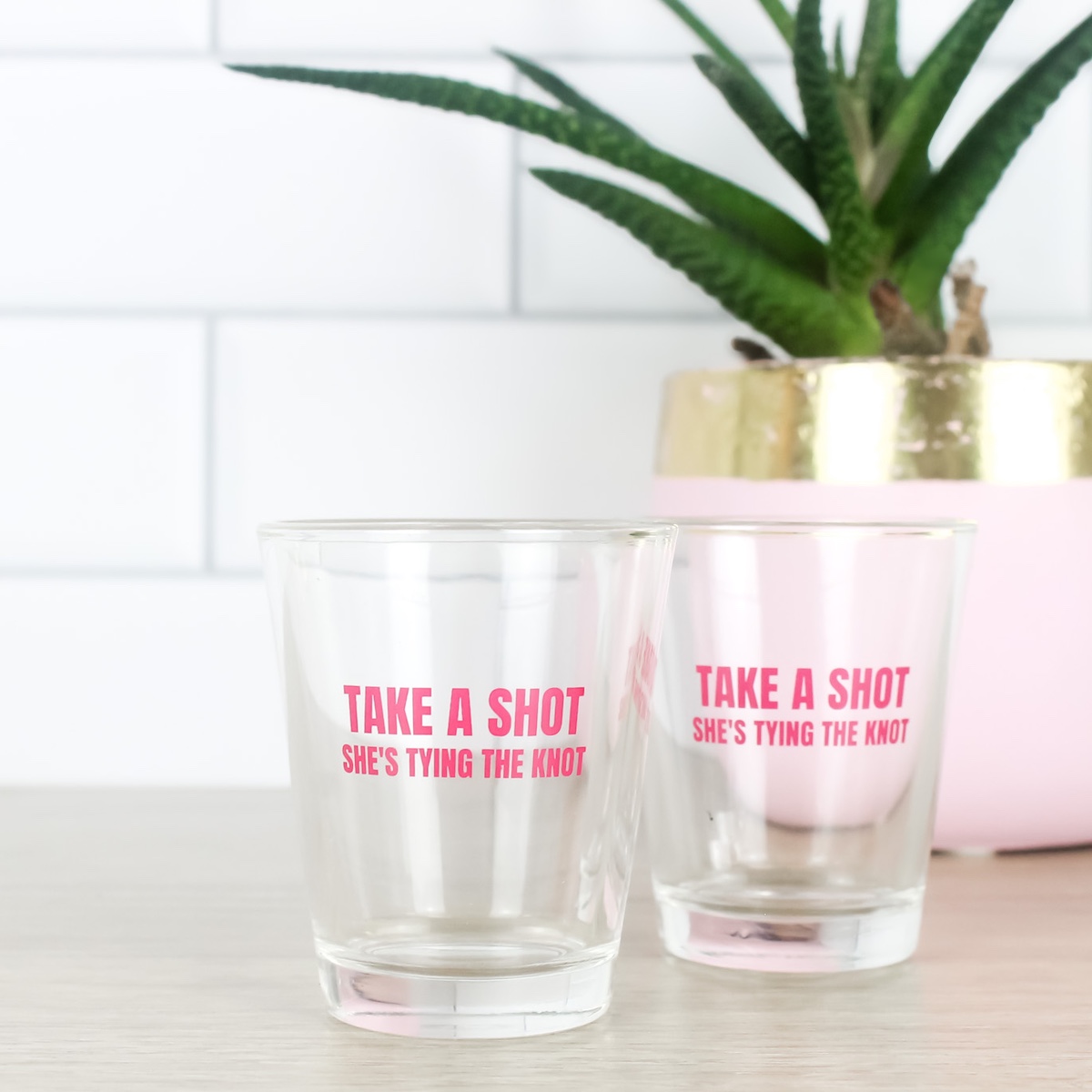 Wedding Shot Glasses Take A Shot Shes Tying The Knot Wicked Partystore 4